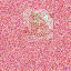 added_latent_249_0_merged.png