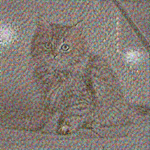 250_noise_cat_1.jpg