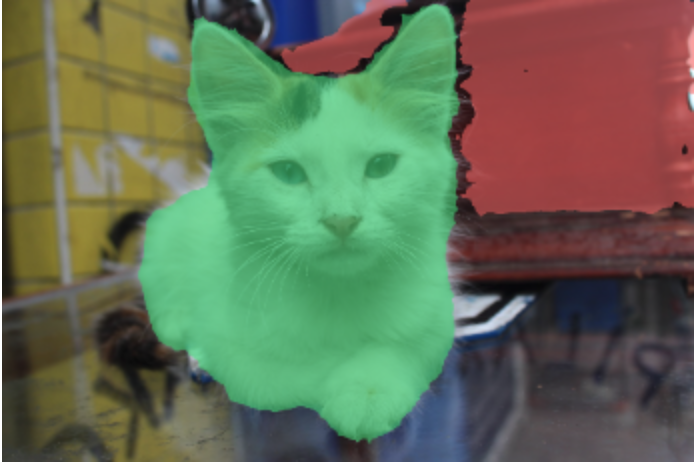 hircin_the_cat.png