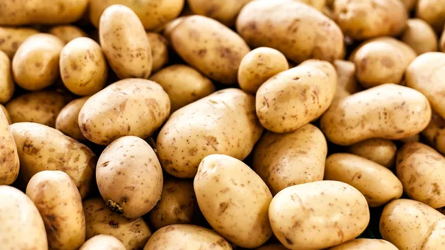 potato_background.webp