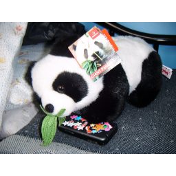 panda_00540.jpg