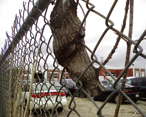 chainlink_fence