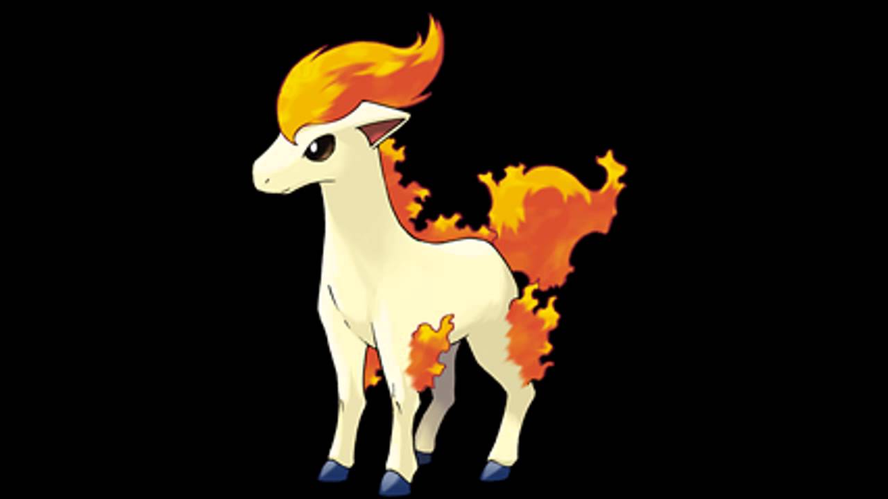 ponyta3.jpg