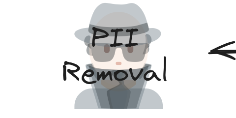 10_8th_step_pii_removal.png