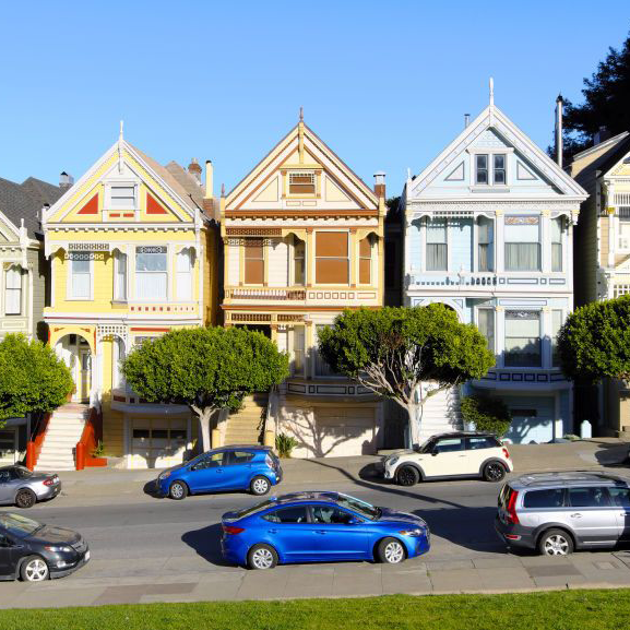 painted ladies.png