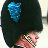 bearskin