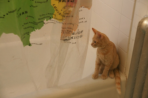 shower_curtain