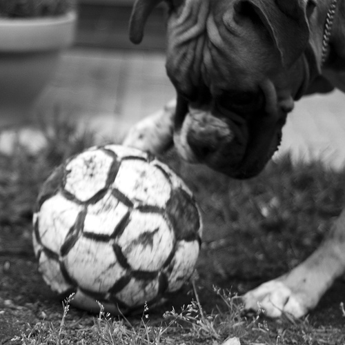 soccer_ball