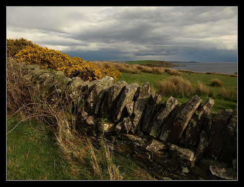 stone_wall