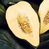 acorn_squash