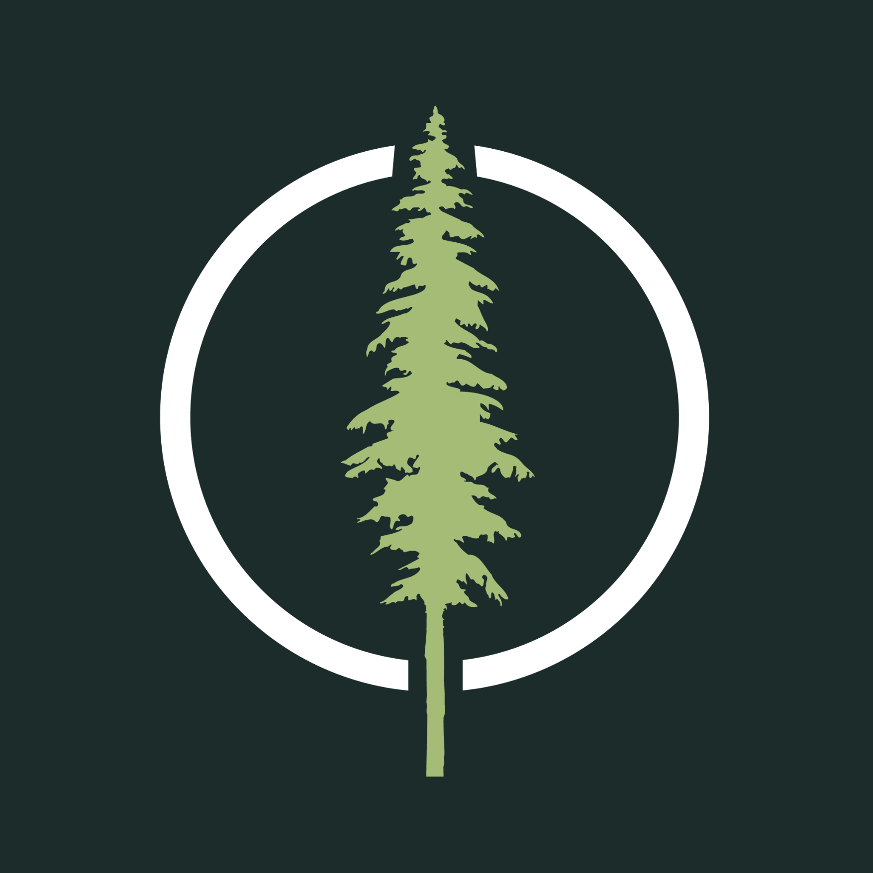 tall-tree-logo.png